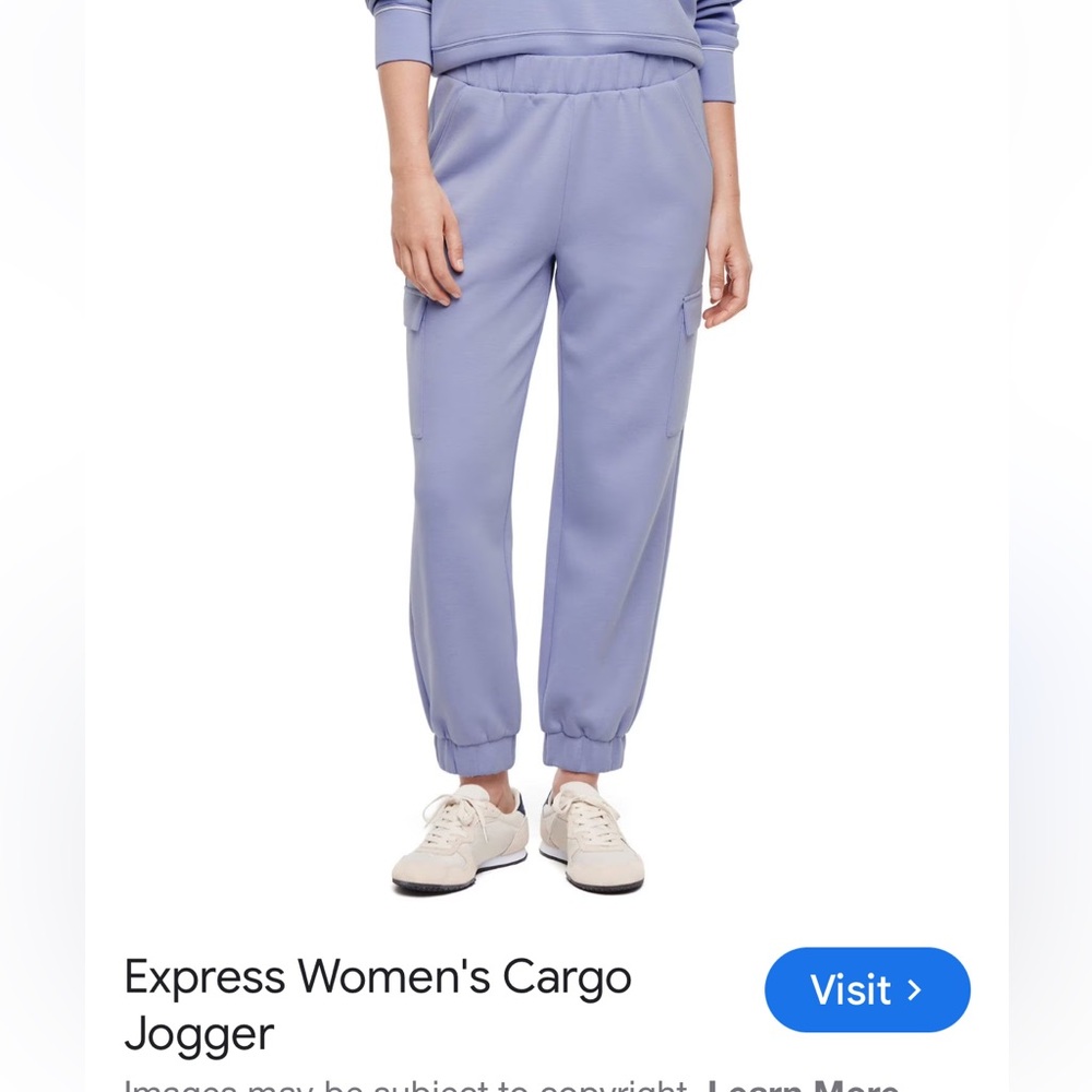 Express women’s joggers  pockets Lavender Joggers